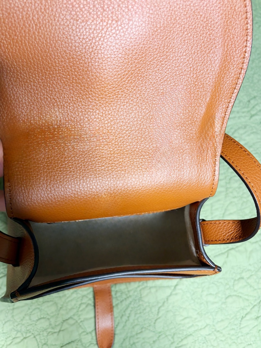Chloe Tan Marcie Small Saddle Crossbody Bag NEW - Picture 9 of 10